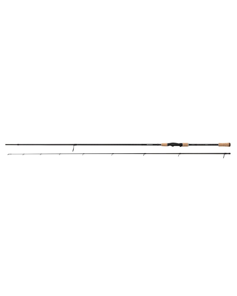 Spiningas Shimano Sedona Chub Specialist