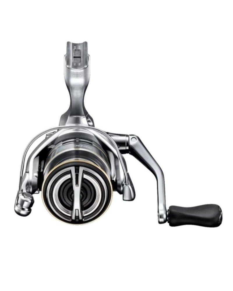 Ritė Shimano Sedona FJ