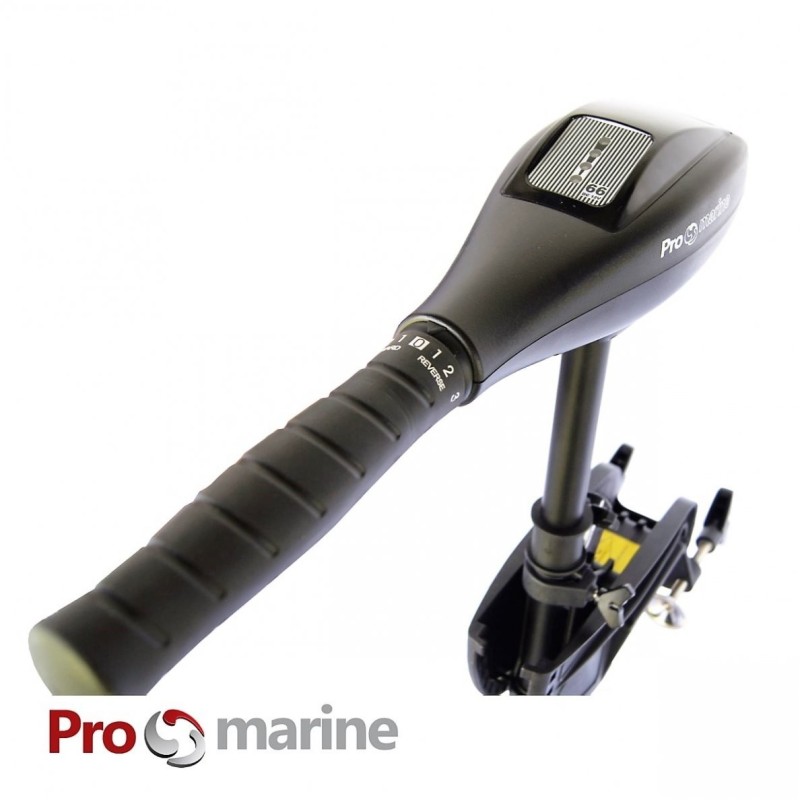 Elektrinis Variklis ProMarine P