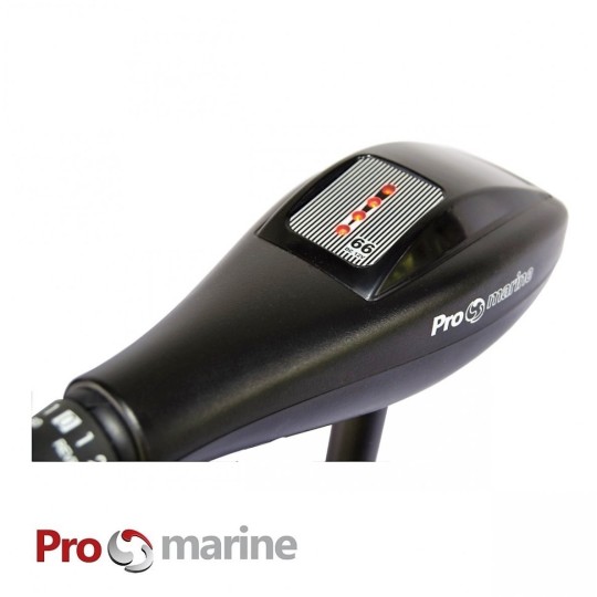 Elektrinis Variklis ProMarine P