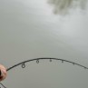 Dugninė Meškerė Nytro Impax Commercial Carp Feeder Dugninė Meškerė Nytro Impax Commercial Carp Feeder