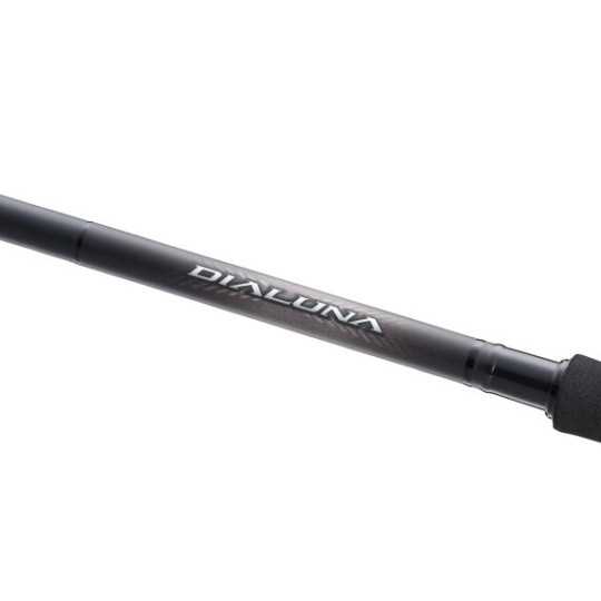 Spiningas Shimano Dialuna Spinning Inshore Spiningas Shimano Dialuna Spinning Inshore