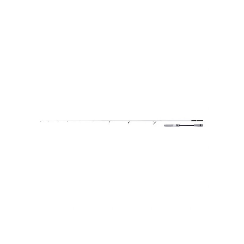 Spiningas Shimano Stradic Spinning Seabass