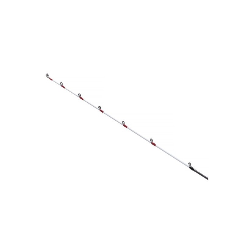 Spiningas Shimano Sephia SS