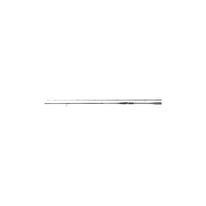 Spiningas Shimano Lesath Spinning Sea Trout