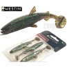 Guminukai Westin Hypo Teez Shad Tail 9cm 5g (3vnt) Guminukai Westin Hypo Teez Shad Tail 9cm 5g (3vnt)