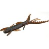 Guminukas Lucky John Hogy Shrimp 3.5'' (8.89CM/5VNT) Guminukas Lucky John Hogy Shrimp 3.5'' (8.89CM/5VNT)