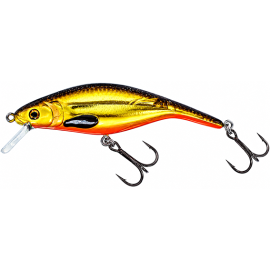 Vobleris Westin P10SR Crankbait 10cm/15g