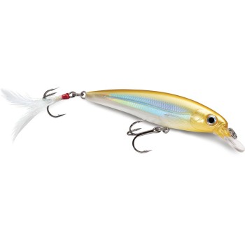 Vobleris Rapala X-Rap XR10