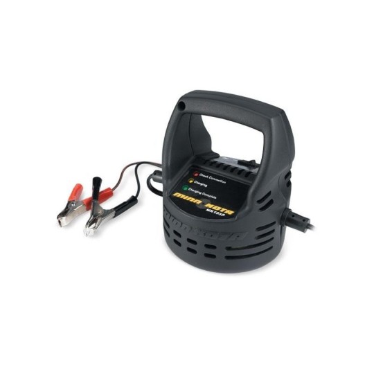 Pakrovėjas Minn Kota 12V
