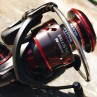 Ritė Daiwa Ballistic LT