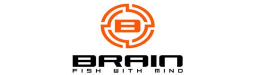 BRAIN